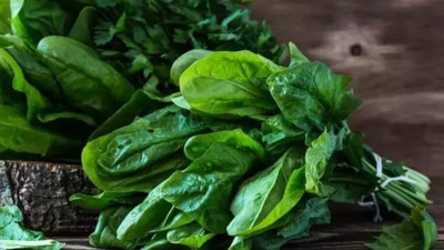 Uzun yaşamın sırrı olan besinler tespit edildi. Yiyen 100 yaşına kadar yaşıyor