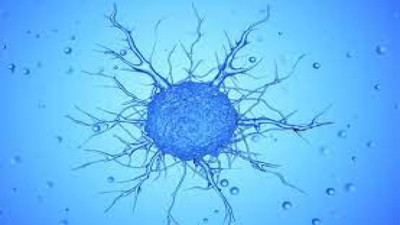 İşte erken teşhis sütyeni