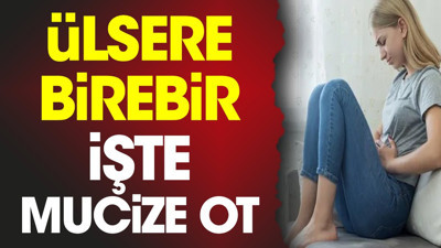 Ülsere birebir. İşte mucize ot