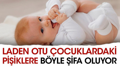 Laden otu çocuklardaki pişiklere böyle şifa oluyor