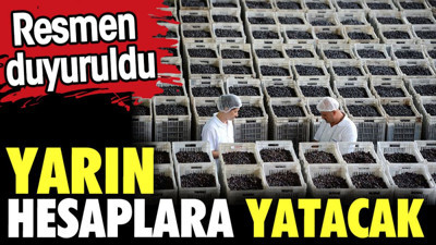 Marmarabirlik'ten resmen duyuruldu. Yarın hesaplara yatacak