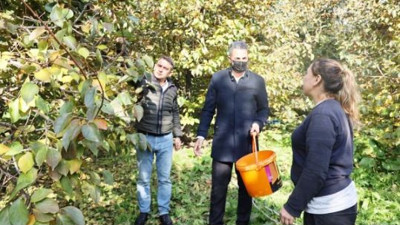 Her ağaç 100 kilo veriyor kilosu 15 TL'den satılıyor. Çiftçinin cebi parayla doldu