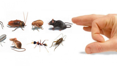 Öyle bir karışım ki...