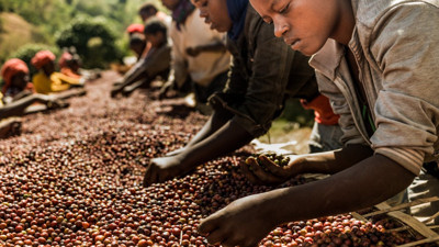 Kenya İsrail'e tarım işçisi gönderecek