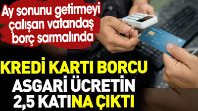 Kredi kartı borcu asgari ücretin 2.5 katına çıktı. Vatandaş borç sarmalında
