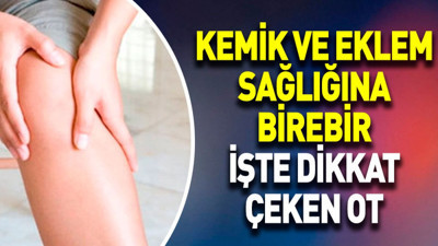 Kemik ve eklem sağlığına birebir. İşte dikkat çeken ot