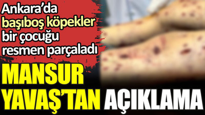 Ankara’da başıboş köpekler bir çocuğu resmen parçaladı. Mansur Yavaş'tan açıklama