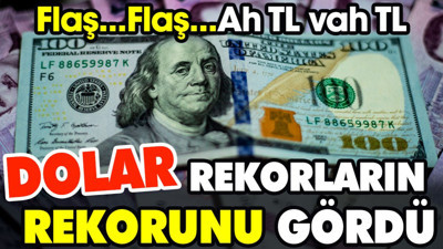 Dolar rekorların rekorunu gördü. Ah TL vah TL
