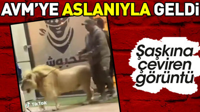 AVM'ye aslanıyla geldi. Şaşkına çeviren görüntü