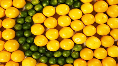 C vitamini kanser kök hücrelerini nasıl engelliyor?