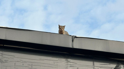 Mahsur kalan kredileri itfaiye kurtardı
