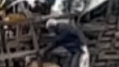 Köpeğe şiddet uygulayan kişiye 4 bin 554 lira ceza