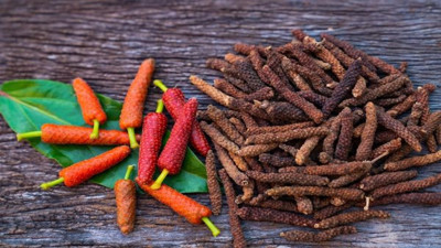 İşte Osmanlı Hareminde kadınların kullandığı şifalı ot