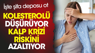 Kolesterolü düşürüyor. Kalp krizi riskini azaltıyor. İşte şifa deposu ot