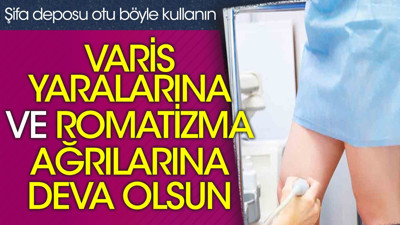 Şifa deposu otu böyle kullanın varis yaralarına ve romatizma ağrılarına deva olsun
