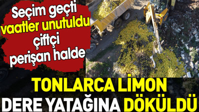 Tonlarca limon dere yatağına döküldü. Seçim geçti vaatler unutuldu çiftçi perişan halde