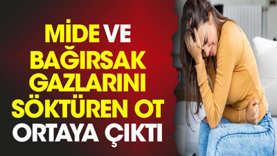 Mide ve bağırsak gazlarını söktüren ot ortaya çıktı