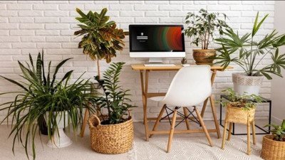 Bitkileriniz bu karışımla yeni ve capcanlı olacak! Çiçeklerin güzelliklerine güzellik katıyor