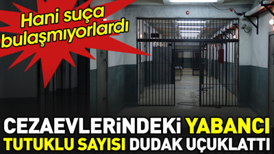 Cezaevlerindeki yabancı tutuklu sayısı dudak uçuklattı