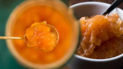 İştah kesici besinler