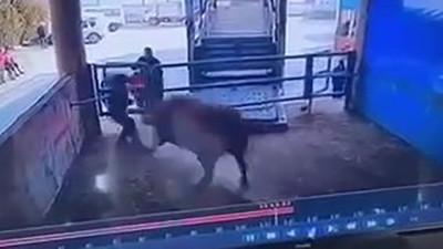Mezbahada boğanın saldırdığı adam öldü: O anlar kamerada