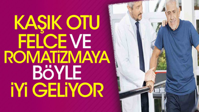 Kaşık otu felce ve romatizmaya böyle iyi geliyor