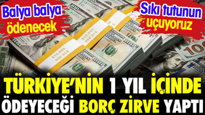 Türkiye'nin bir yıl içinde ödeyeceği dış borcu zirve yaptı. Balya balya ödenecek