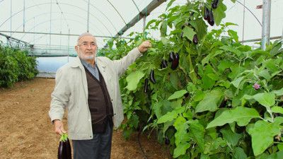 Yazın kilosu 5 lira diye toplamadı şimdi 17 liradan satıyor. Serasındaki boş alanlara dikti paraya para demiyor