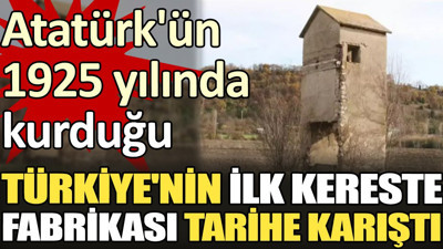 Atatürk'ün 1925 yılında kurduğu Türkiye'nin ilk kereste fabrikası tarihe karıştı