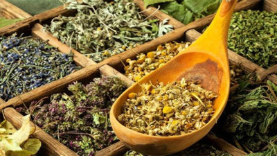 Bu milyon yaşındaki otları bulup kullananların ömrü uzuyor