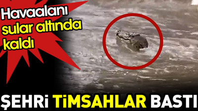 Şehri timsahlar bastı. Havaalanı sular altında kaldı