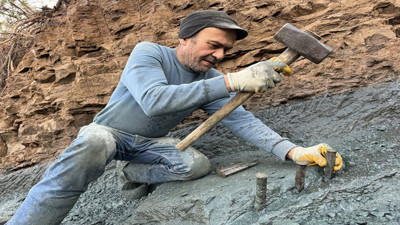 Küre Dağları'ndan koparıyor 2 tak tak yapıyor 750 TL'ye satıyor. Mutfakların baş köşesinde duruyor