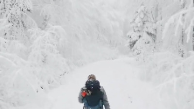 Sakarya'da kaydedilen görüntü büyüledi