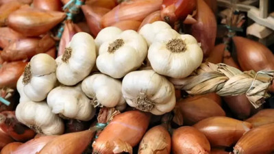 Müthiş ikili nezle grip kalkanı