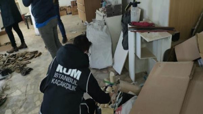 İstanbul'da fildişi ve bufalo boynuzu operasyonu