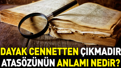 Dayak cennetten çıkmadır atasözünün anlamı nedir?