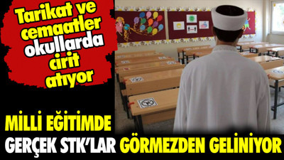 Milli Eğitim’de gerçek STK’lar görmezden geliniyor