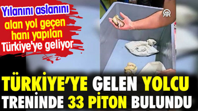 Türkiye’ye gelen yolcu treninde 33 piton bulundu. Yılanını aslanını alan Türkiye'yi yol geçen hanı yaptı