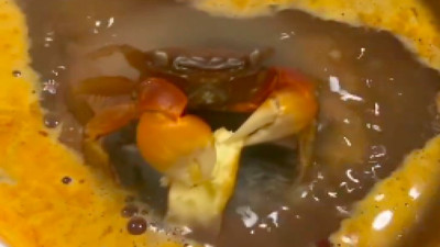 Kaynayan suyun içinde yavaş yavaş pişerken ekmek yiyen yengeç...