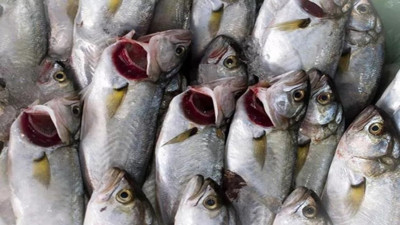 Çinekop sperm sayısını artırıyor