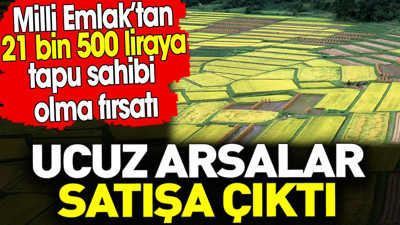 Milli Emlak’tan 21 bin 500 liraya tapu sahibi olma fırsatı. Ucuz arsalar satışa çıktı