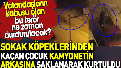 Sokak köpeklerinden kaçan çocuk kamyonetin arkasına saklanarak kurtuldu