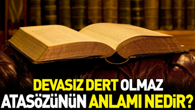 Devasız dert olmaz atasözünün anlamı nedir?