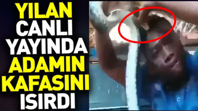 Yılan canlı yayında adamın kafasını ısırdı