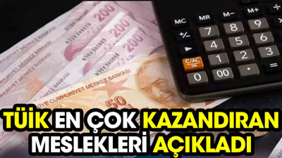 TÜİK en çok kazandıran meslekleri açıkladı