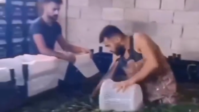 Bu defa da hıyar havuzuna girip iğrençlik yaptı. Bu görüntüler hıyar olduğu için midenizi bulandırmayacak