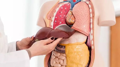 İşte Karaciğer yağlanmasının evreleri