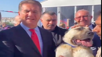 Mustafa Sarıgül'den yeni video: "4 ayaklıdan değil, 2 ayaklıdan kork"