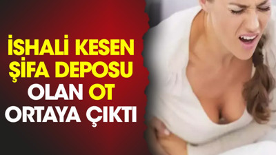 İshali kesen şifa deposu olan ot ortaya çıktı