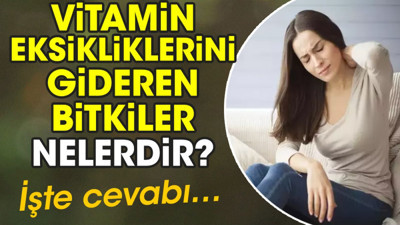 Vitamin eksikliklerini gideren bitkiler nelerdir? İşte cevabı…